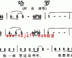 哈罗--阿杜简谱