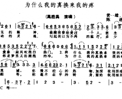 为什么我的真换来我的痛简谱