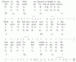 野地的花----可听简谱