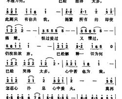 此刻只有你共我简谱-香港电视连续剧《法网柔情》主题歌）