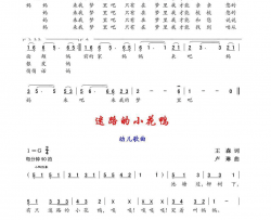 妈妈，来我梦里吧/迷路的小花鸭简谱