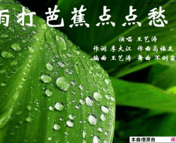 雨打芭蕉点点愁王艺涛唱、舞曲 三步踩不倒翁制作简谱-王艺涛演唱-李大江/高福友词曲