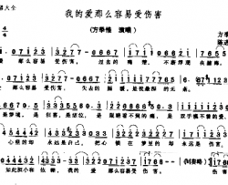 我的爱那么容易受伤害简谱