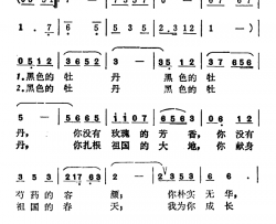 黑色的牡丹简谱-张枚同词/刘玉文曲