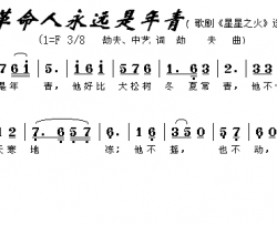 革命人永远是年轻简谱