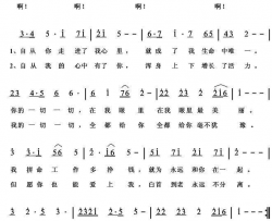 我心中的神简谱
