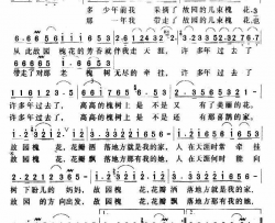 故园槐花简谱