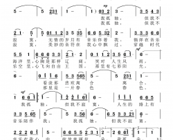 孤独，但不寂寞简谱