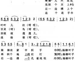 织手巾简谱-焉耆回族民歌