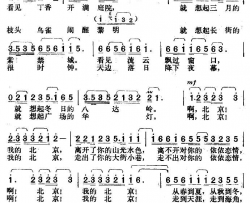北京恋情简谱