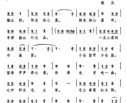 小金笛简谱