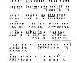 玫瑰花海简谱
