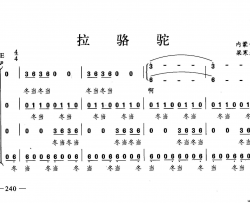 拉骆驼合唱简谱