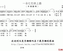 一朵红花襟上插 简谱-李娜-