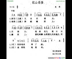 挖山药蛋简谱