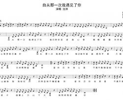 自从那一次我遇见了你简谱-治洪词/治洪曲治洪-