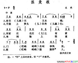 拣麦根简谱