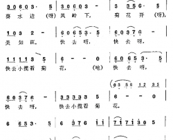 快去小榄看菊花简谱