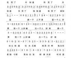 转身天涯简谱