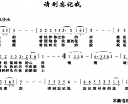 请别忘记我简谱