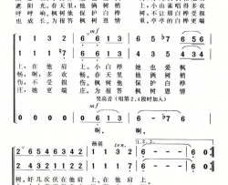 有一棵枫树在森林旁简谱