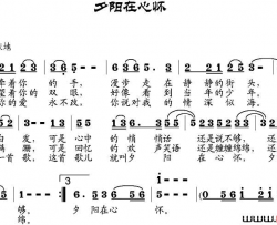 夕阳在心怀简谱