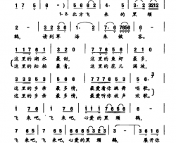 飞来吧，黑颈鹤简谱