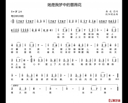 她是我梦中的啬薇花简谱-唐进昌词/欧阳晓波曲