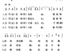 姐姐妹妹两朵花简谱
