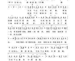 不忘初心歌声飘过四十年简谱