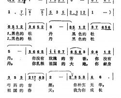 黑色的牡丹简谱