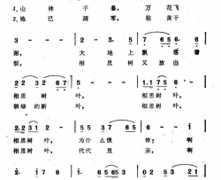 相思树叶 电视音乐片《海峡情》选曲简谱-苏红演唱-张藜/史宗毅词曲