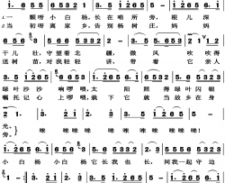 小白杨高清正版简谱