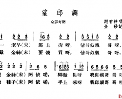 望郎调简谱-云南民歌