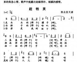 赶牲灵对唱简谱-张定月演唱-陕北信天游/信天游词曲