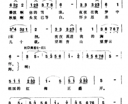 祖国的红梅正盛开简谱