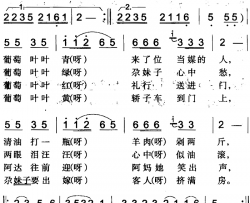 葡萄叶叶青简谱-焉耆回族民歌