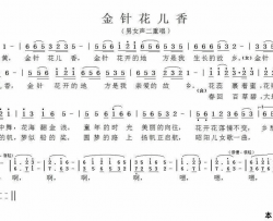金针花儿香男女声二重唱简谱