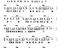 艾里莆与赛乃姆简谱-刀郎词/刀郎曲刀郎-