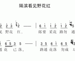 隔滨看见野花红简谱-