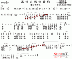 真情永远伴着你简谱-董文华演唱