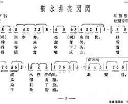 新水井亮闪闪简谱