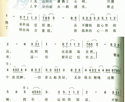 曾是拥有简谱