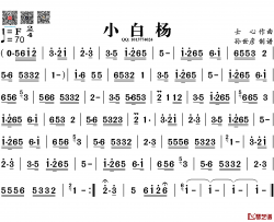 小白杨简谱-葫芦丝旋律谱