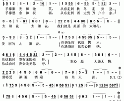 太阳花简谱(歌词)-许岚岚演唱-秋叶起舞记谱上传