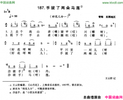 手拔了两朵马莲简谱