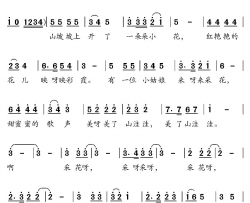 送给老师一束鲜花简谱