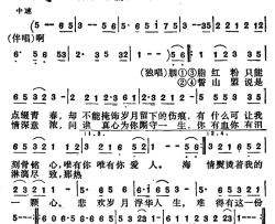 一代佳人台湾电视剧《一代佳人》主题歌简谱