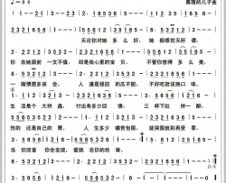 你是我的宝简谱