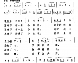 红花简谱